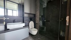 Irwell Hill Residences (D9), Apartment #451839821